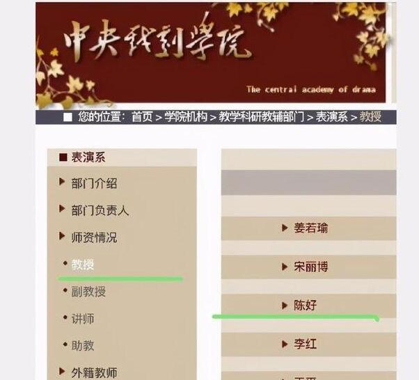 陈好被曝出在中央戏剧学院担任教授 存在即有道理